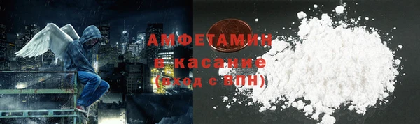 хмурый Алексин