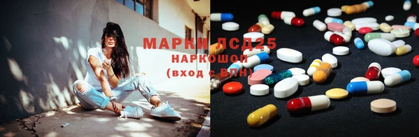 хмурый Алексин