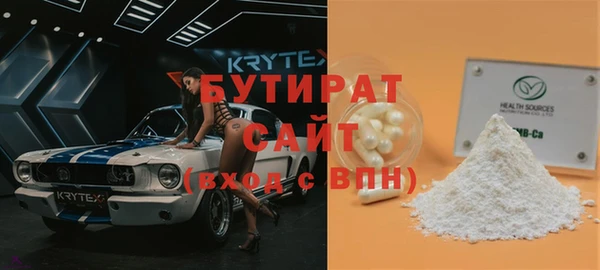 хмурый Алексин