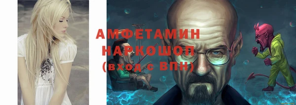 хмурый Алексин