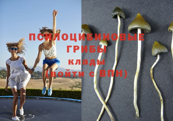 мяу мяу кристалл Протвино