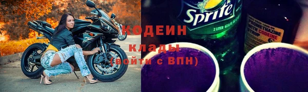 хмурый Алексин